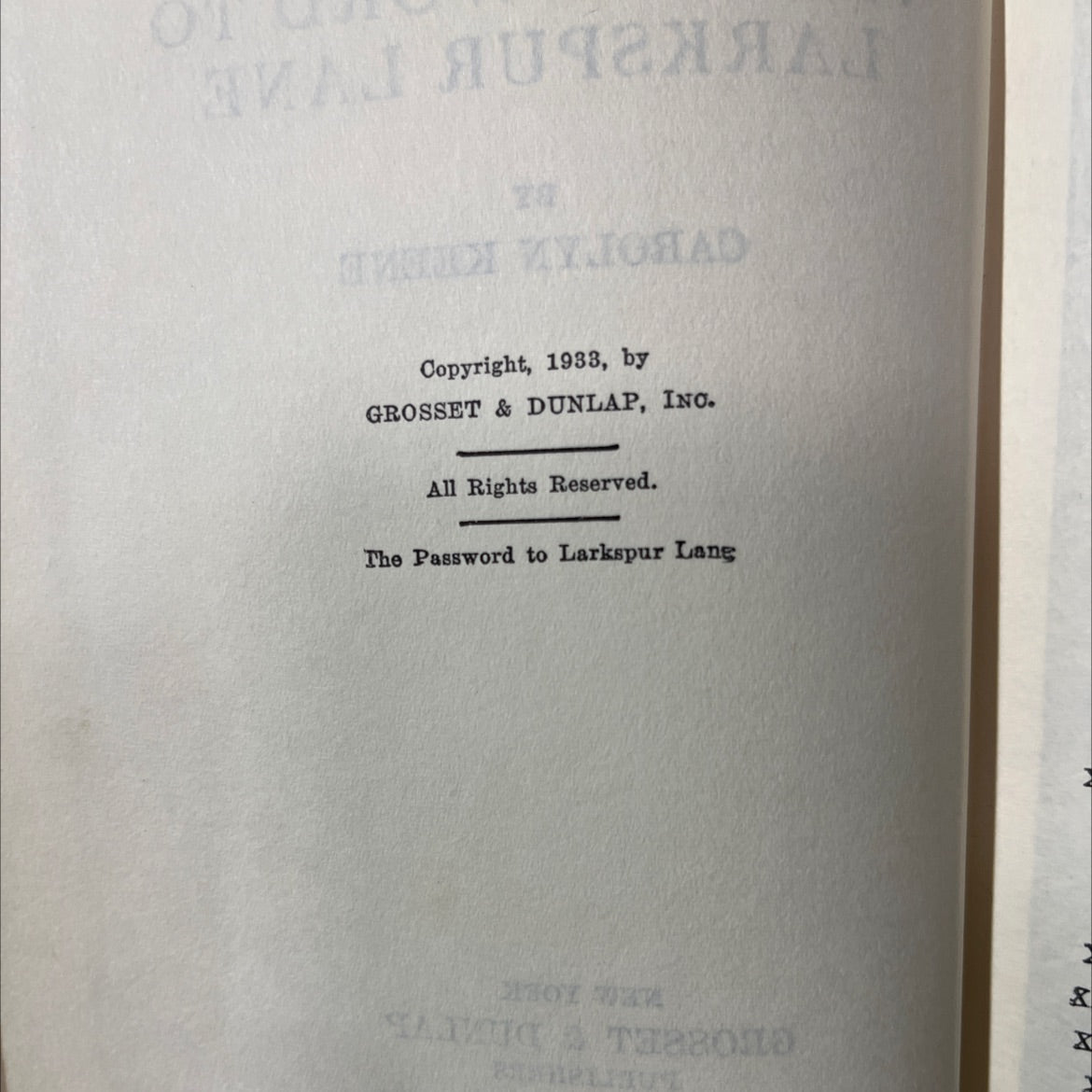 the password to larkspur lane book, by carolyn keene, 1933 Hardcover image 3