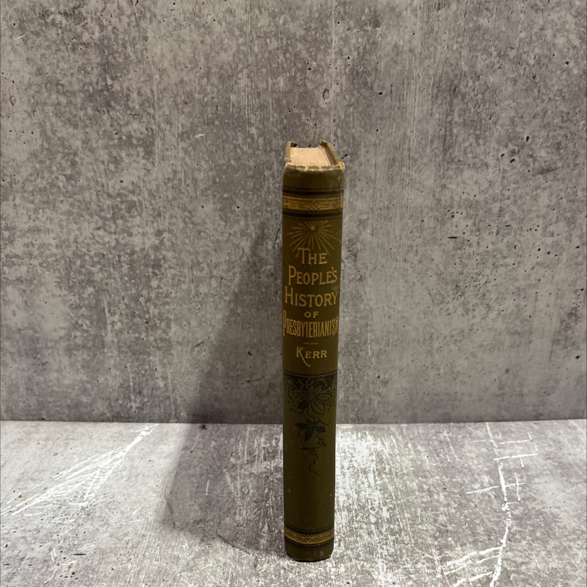 the people's history of presbyterianism in all ages book, by robert p. kerr, d. d., 1894 Hardcover image 4