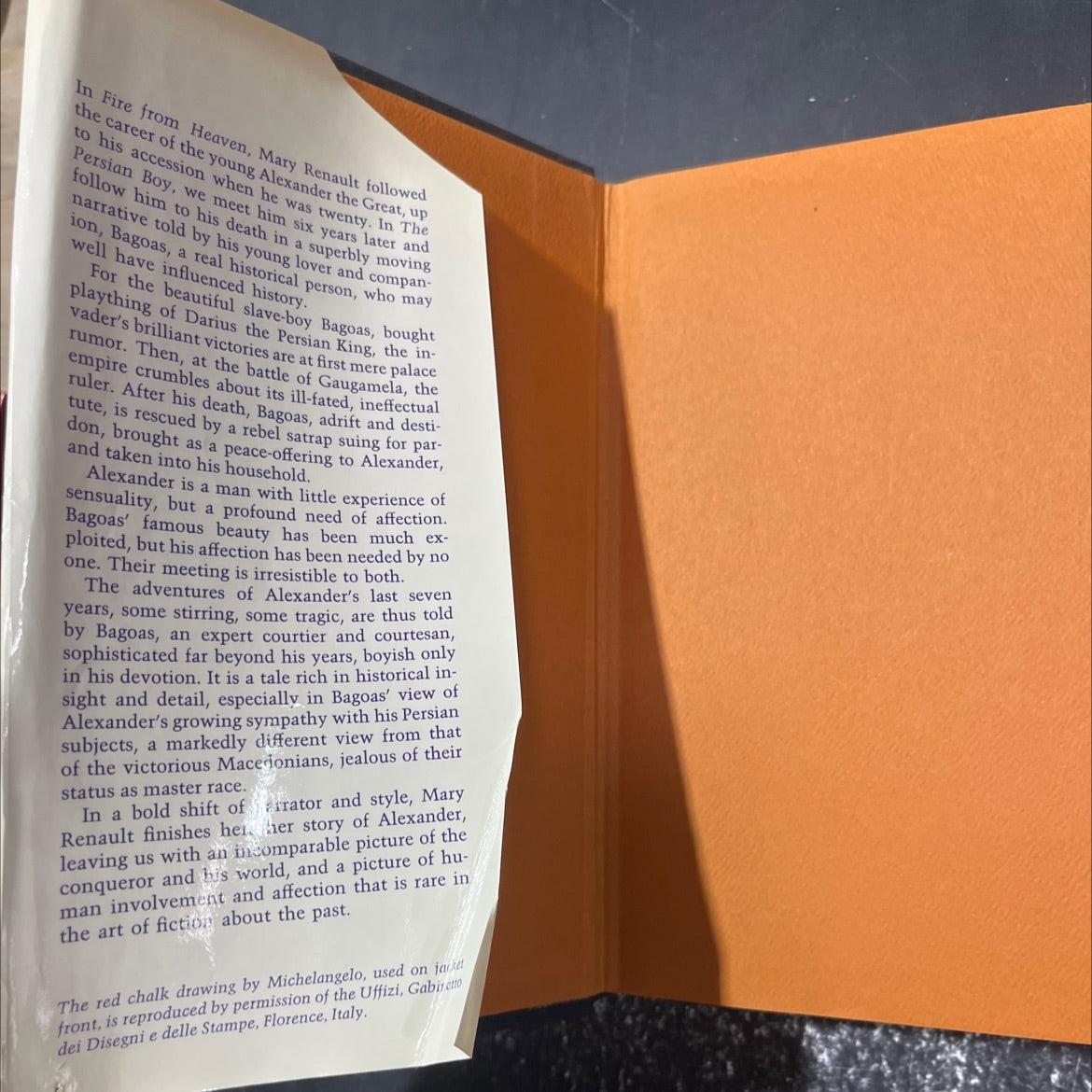 the persian boy book, by mary renault, 1972 Hardcover image 4