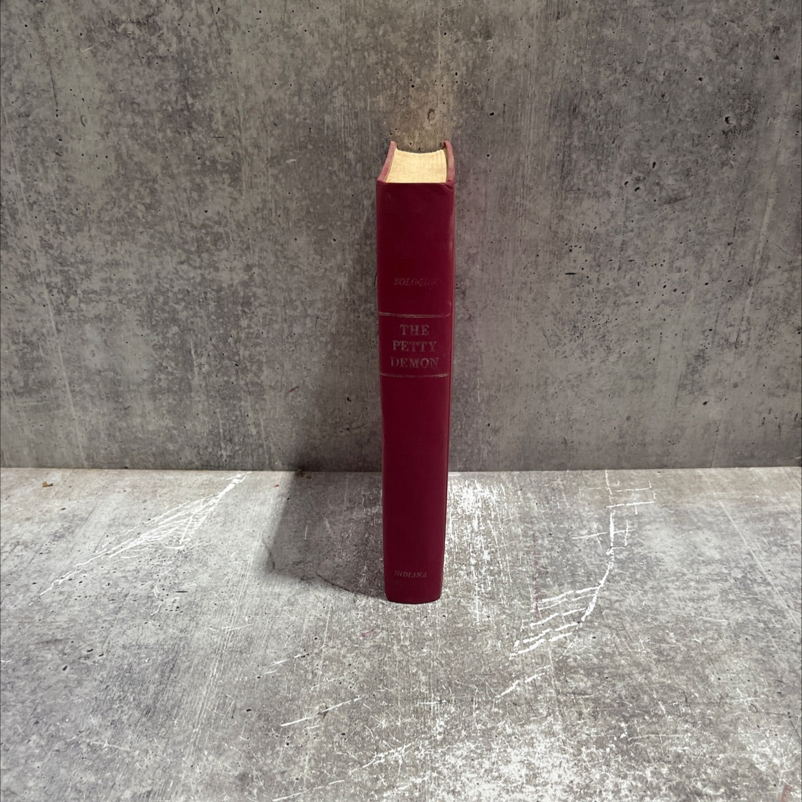 the petty demon book, by fyodor sologub, 1970 Hardcover image 4