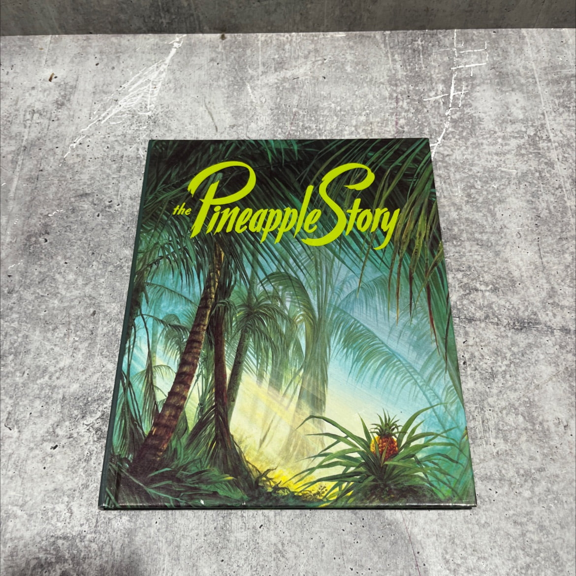 the pineapple story how to conquer anger book, by unknown, 1999 Hardcover image 1