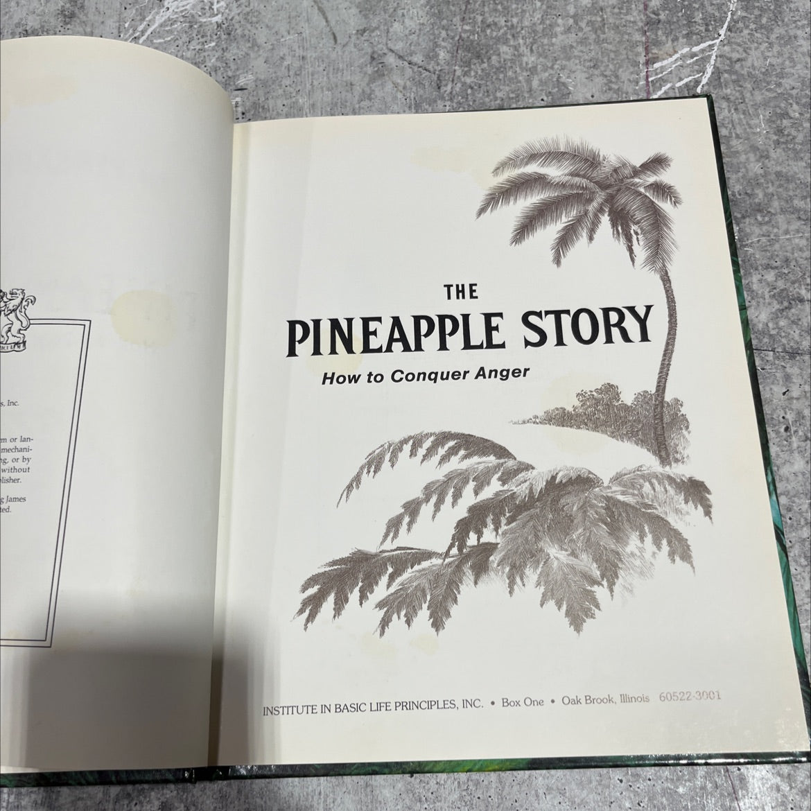 the pineapple story how to conquer anger book, by unknown, 1999 Hardcover image 2