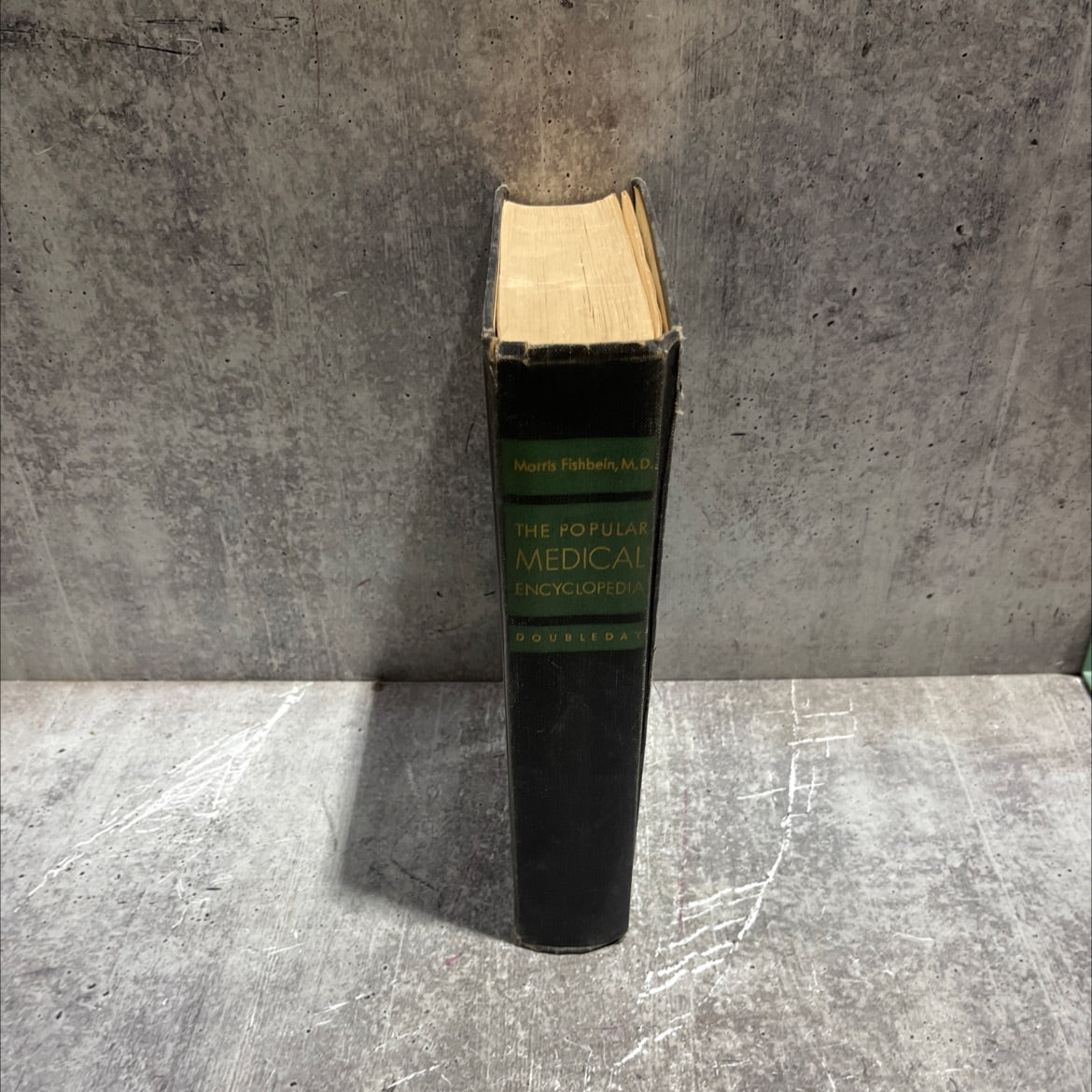 the popular medical encyclopedia book, by morris fishbein, m.d., 2002 Hardcover image 4