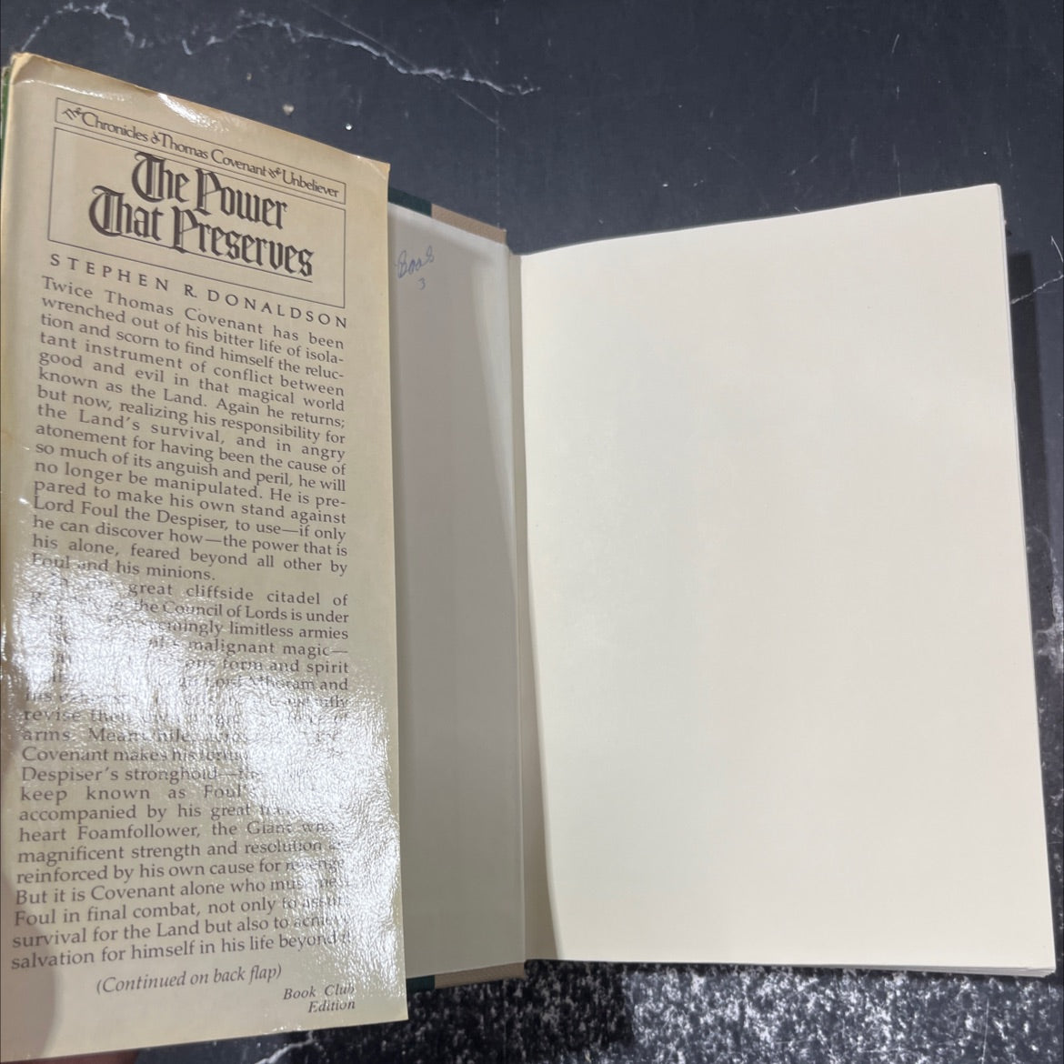 the power that preserves book, by stephen r. donaldson, 1977 Hardcover image 4