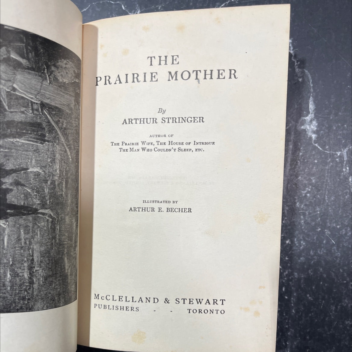 the prairie mother book, by arthur stringer, 1920 Hardcover image 2