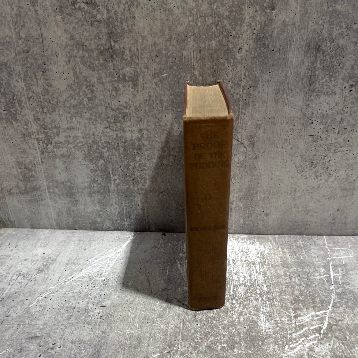 the proof of the pudding book, by meredith nicholson, 1916 Hardcover image 4