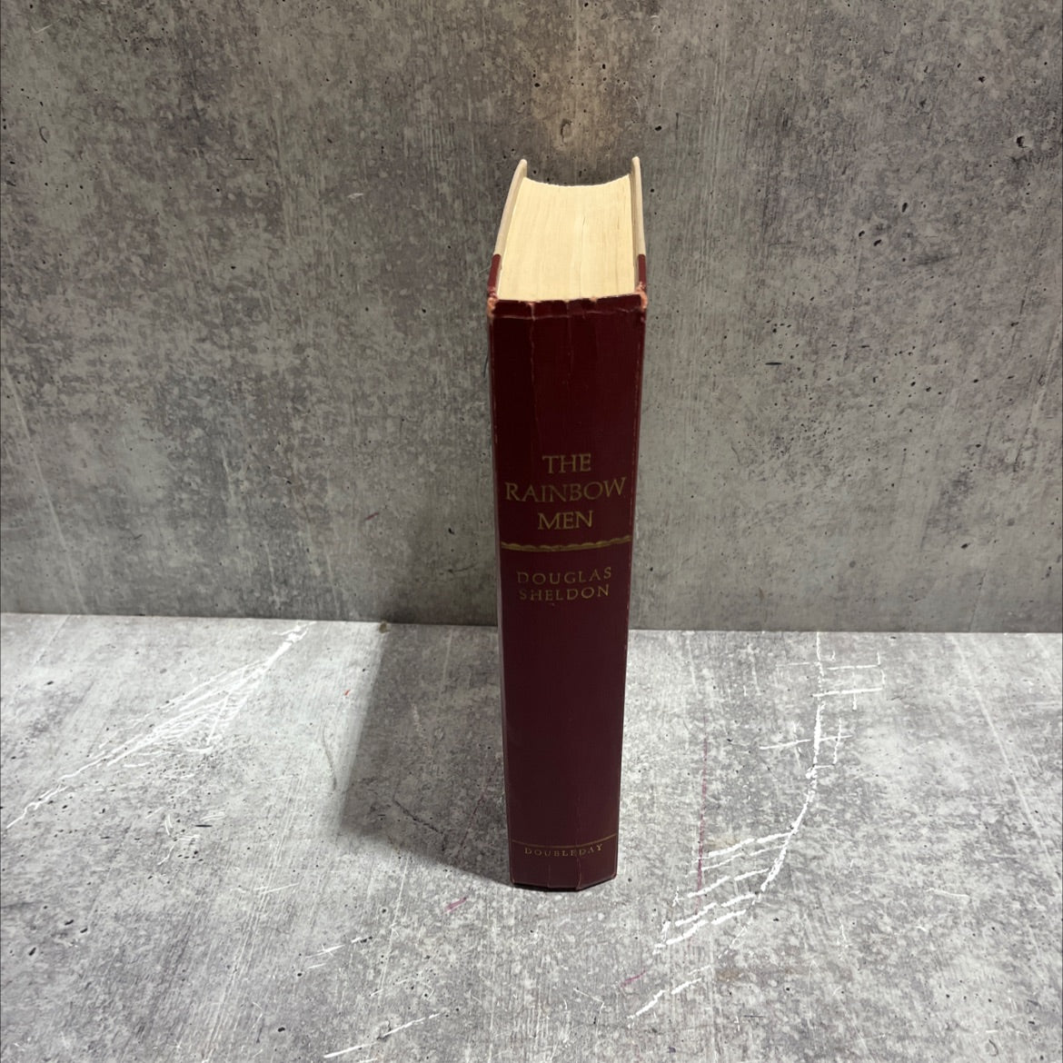 the rainbow men book, by douglas sheldon, 1975 Hardcover image 4