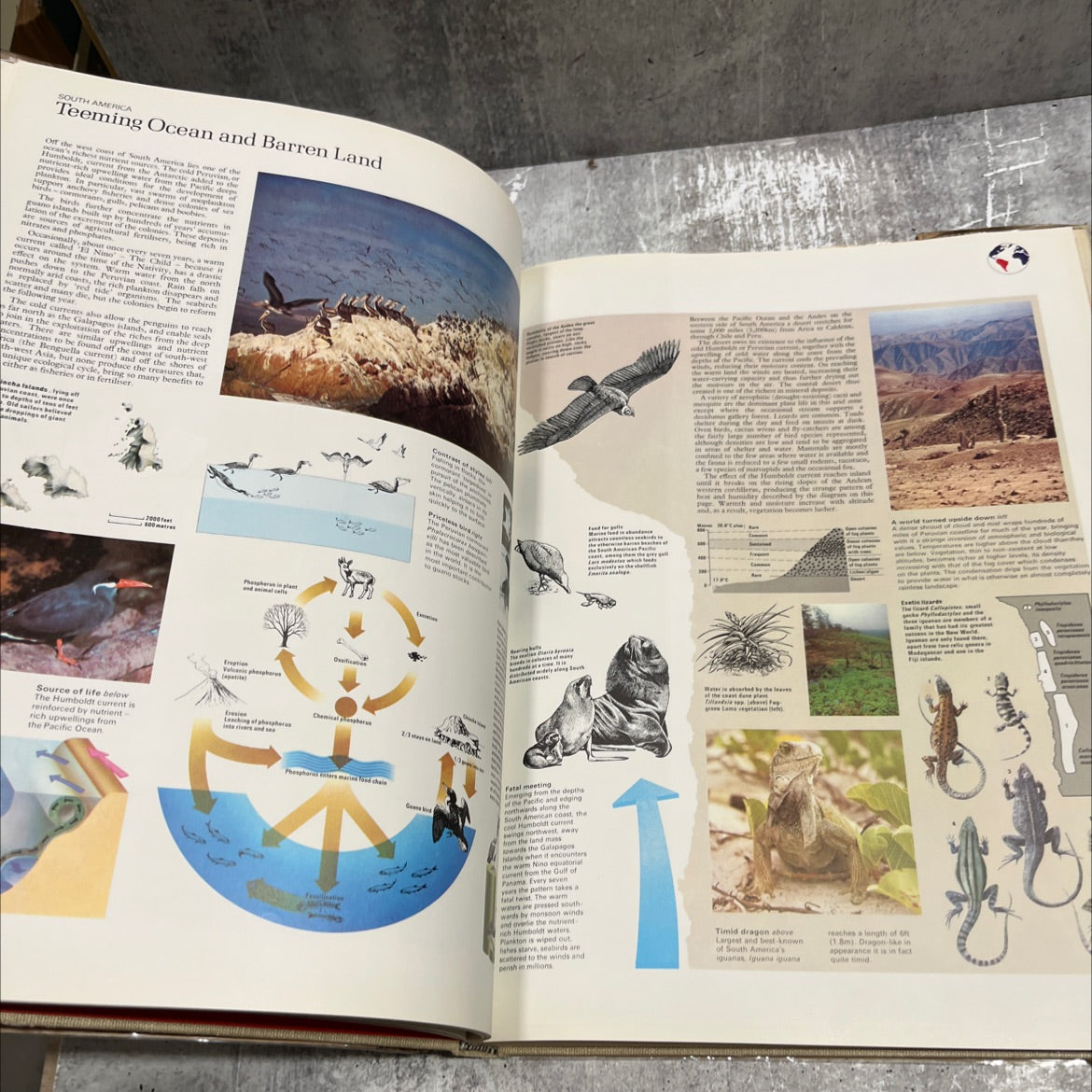 the rand mcnally atlas of world wildlife book, by sir julian huxley, 1973 Hardcover image 4
