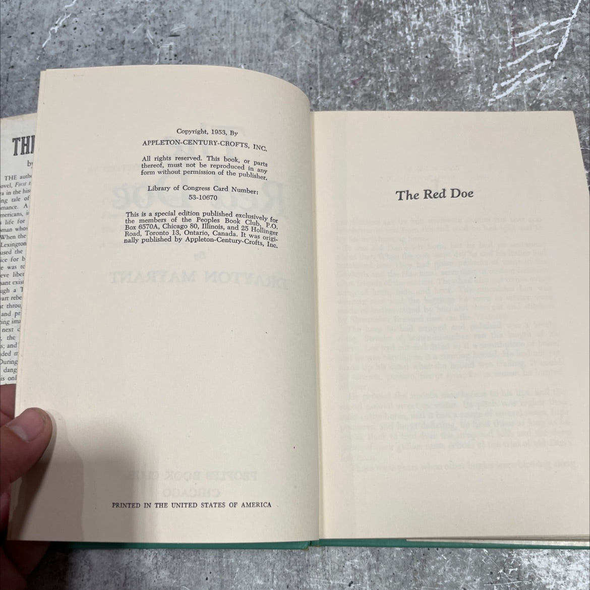 the red doe book, by drayton mayrant, 1953 Hardcover image 3