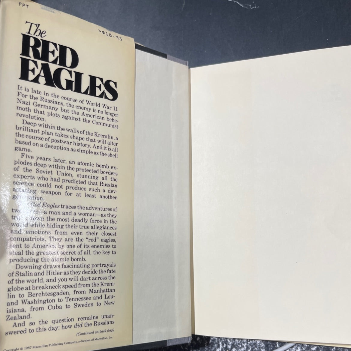 the red eagles book, by David Downing, 1987 Hardcover image 4