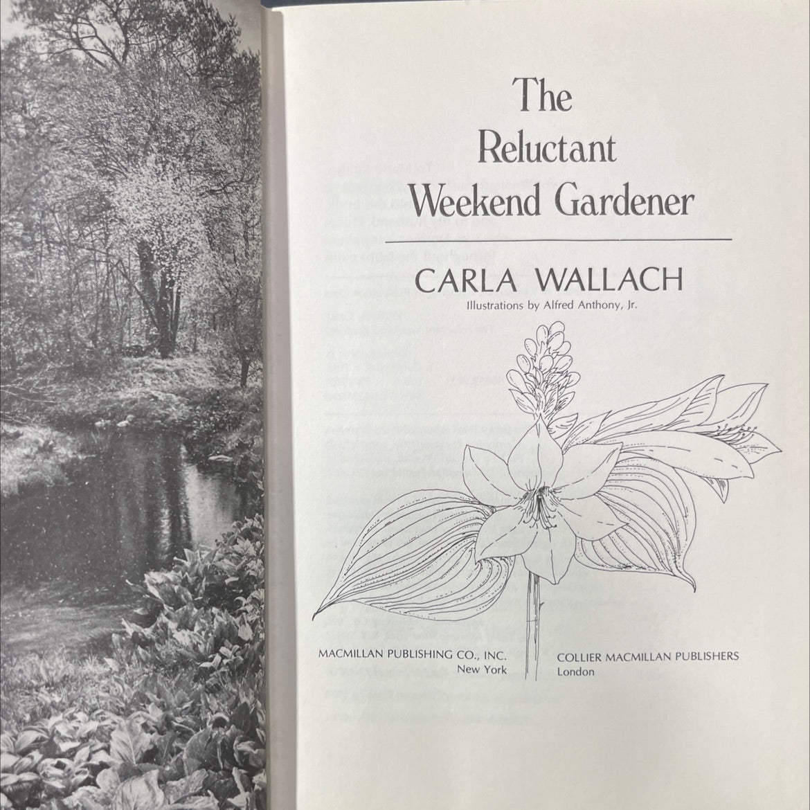 the reluctant weekend gardener book, by carla wallach, 1973 Hardcover image 2