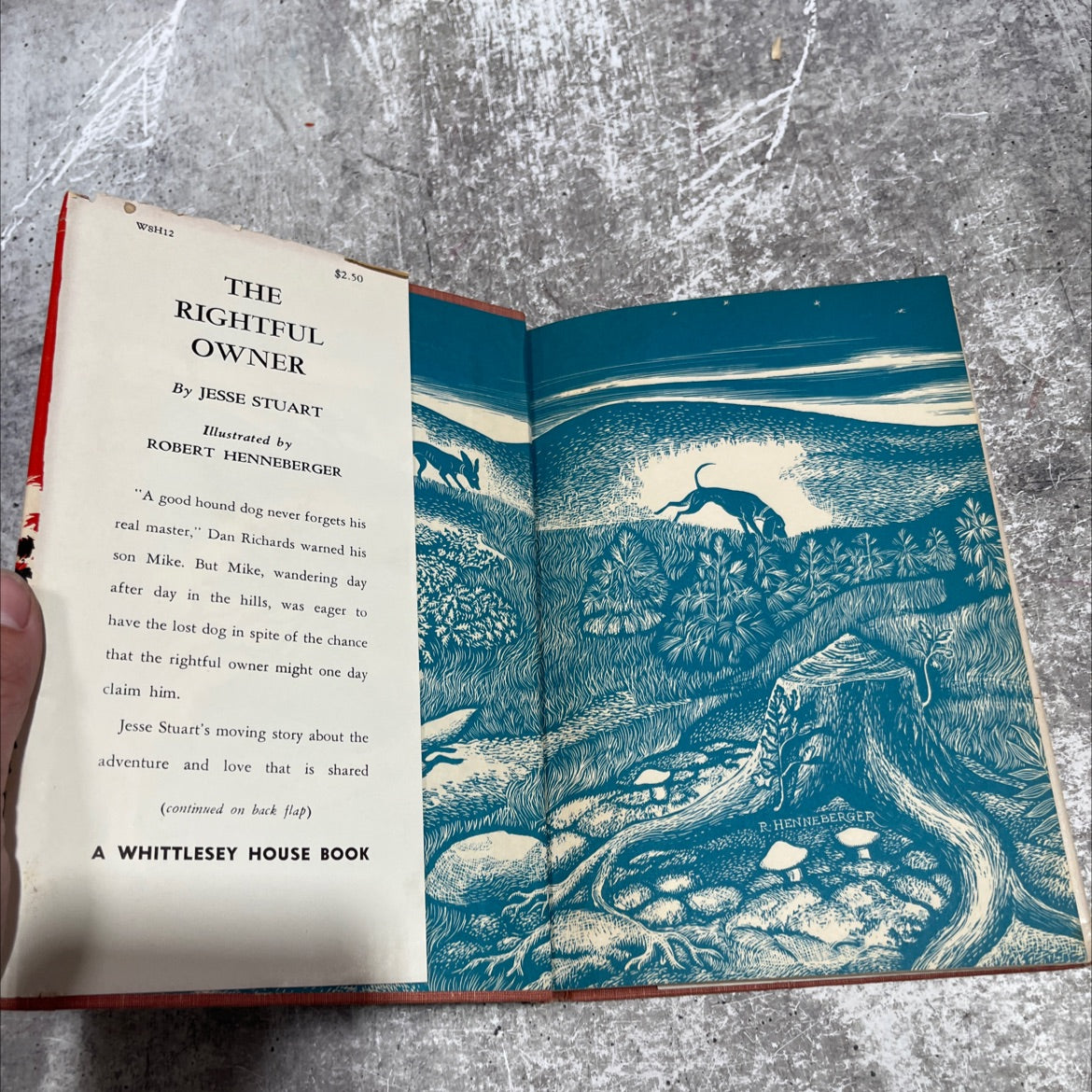 the rightful owner book, by jesse stuart, 1960 Hardcover image 4