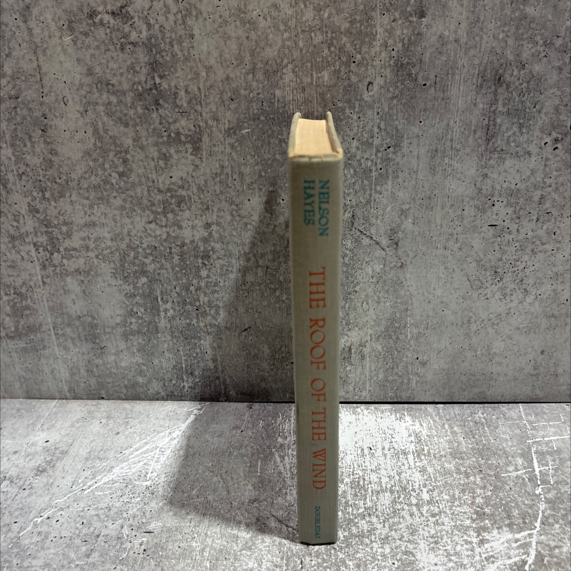 the roof of the wind book, by nelson hayes, 1961 Hardcover image 4