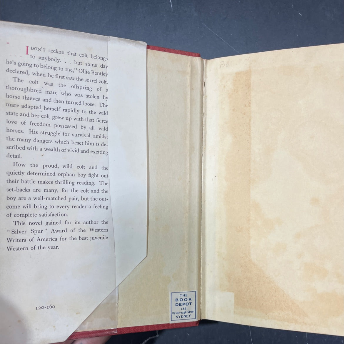 the sagebrush sorrel book, by frank c. robertson, 1956 Hardcover image 4