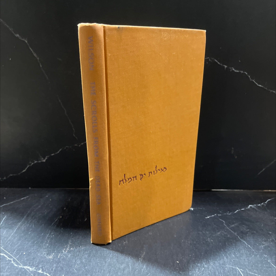 the scrolls from the dead sea book, by edmund wilson, 1955 Hardcover image 1