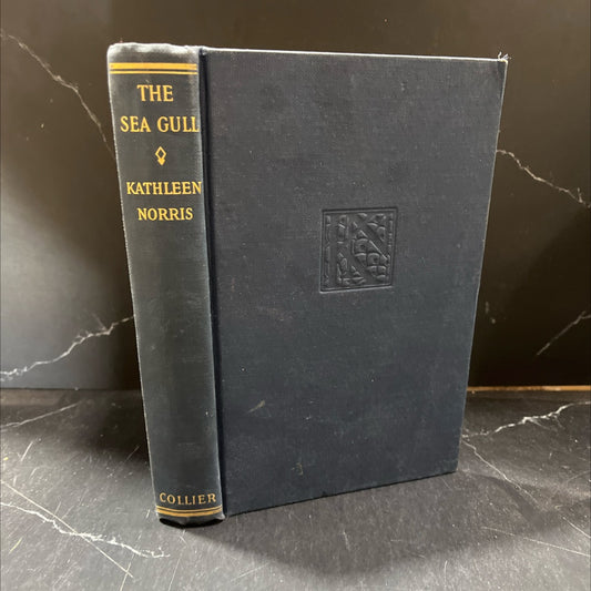 the sea gull book, by kathleen norris, 1927 Hardcover image 1