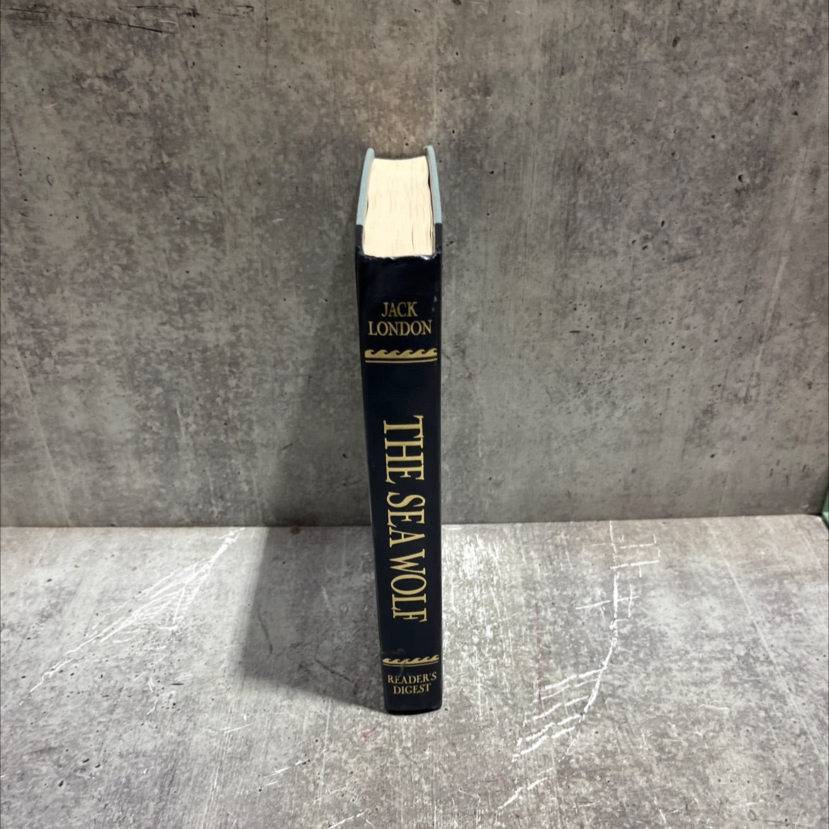 the sea wolf book, by jack london, 1989 Hardcover image 4