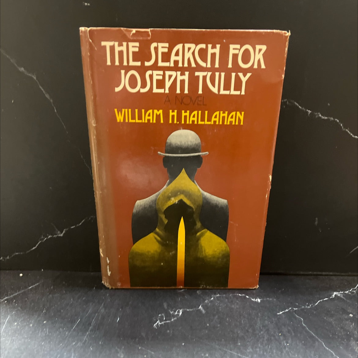 the search for joseph tully book, by william h. hallahan, 1974 Hardcover image 1