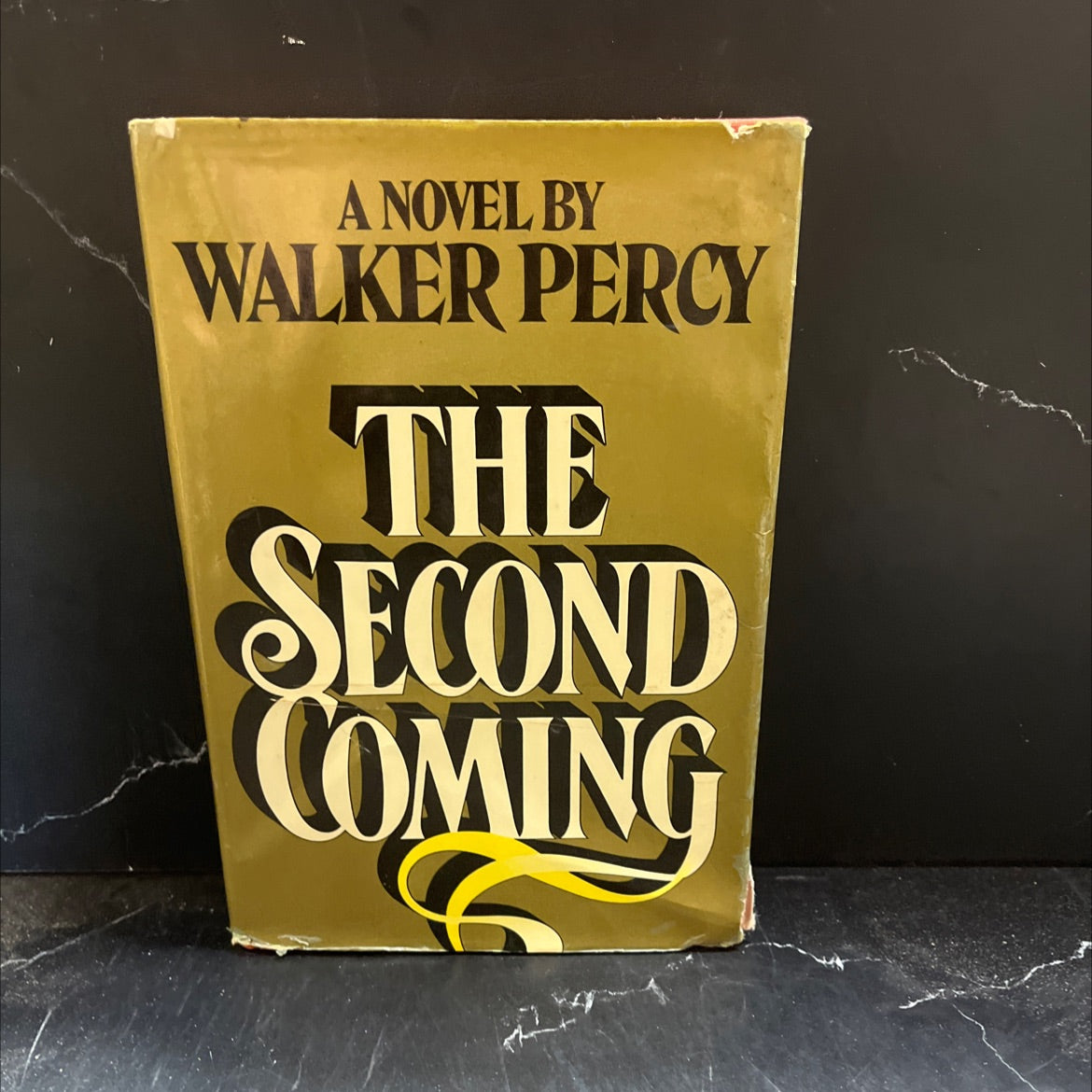 the second coming book, by walker percy, 1980 Hardcover image 1