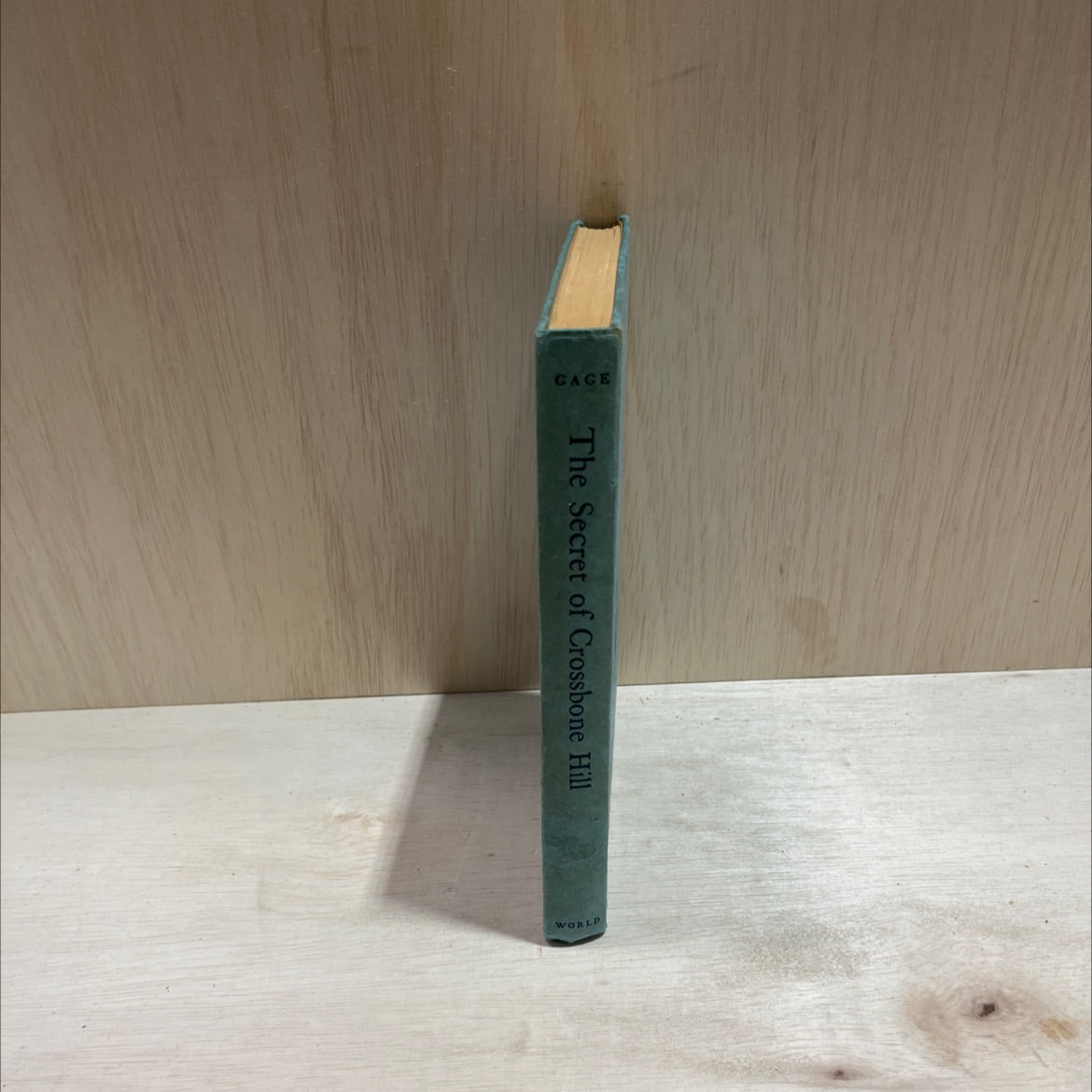 the secret of crossbone hill book, by wilson gage, 1960 Hardcover image 4