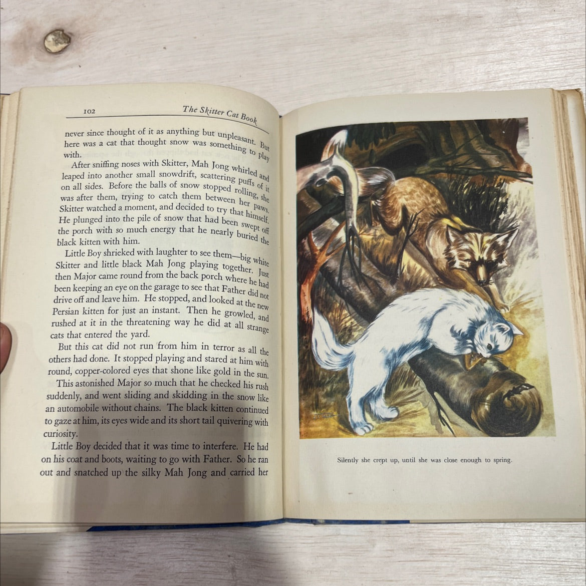 the skitter cat book containing skitter cat skitter cat and major skitter cat and little boy book, by eleanor youmans, image 4