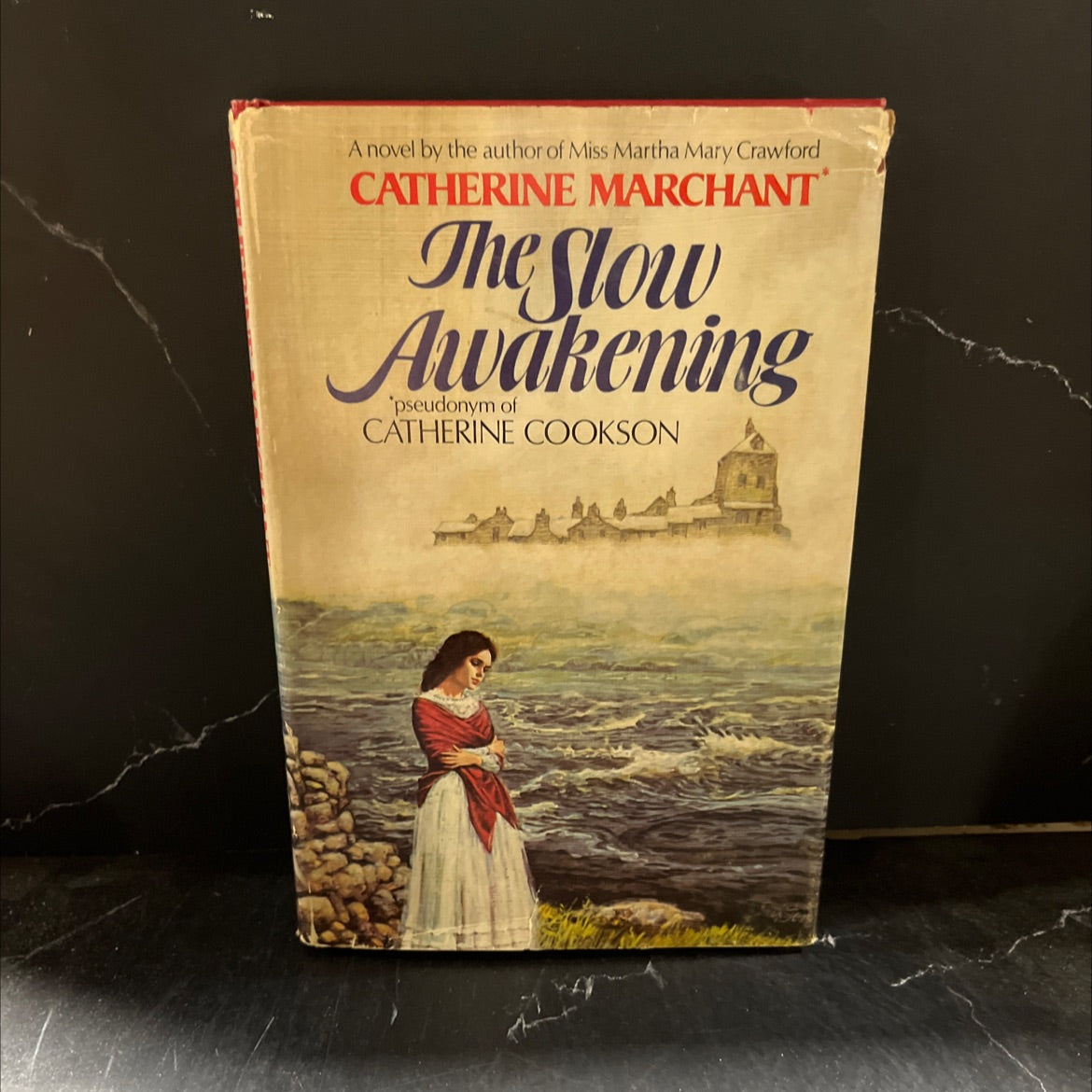 the slow awakening book, by catherine marchant, 1977 Hardcover image 1