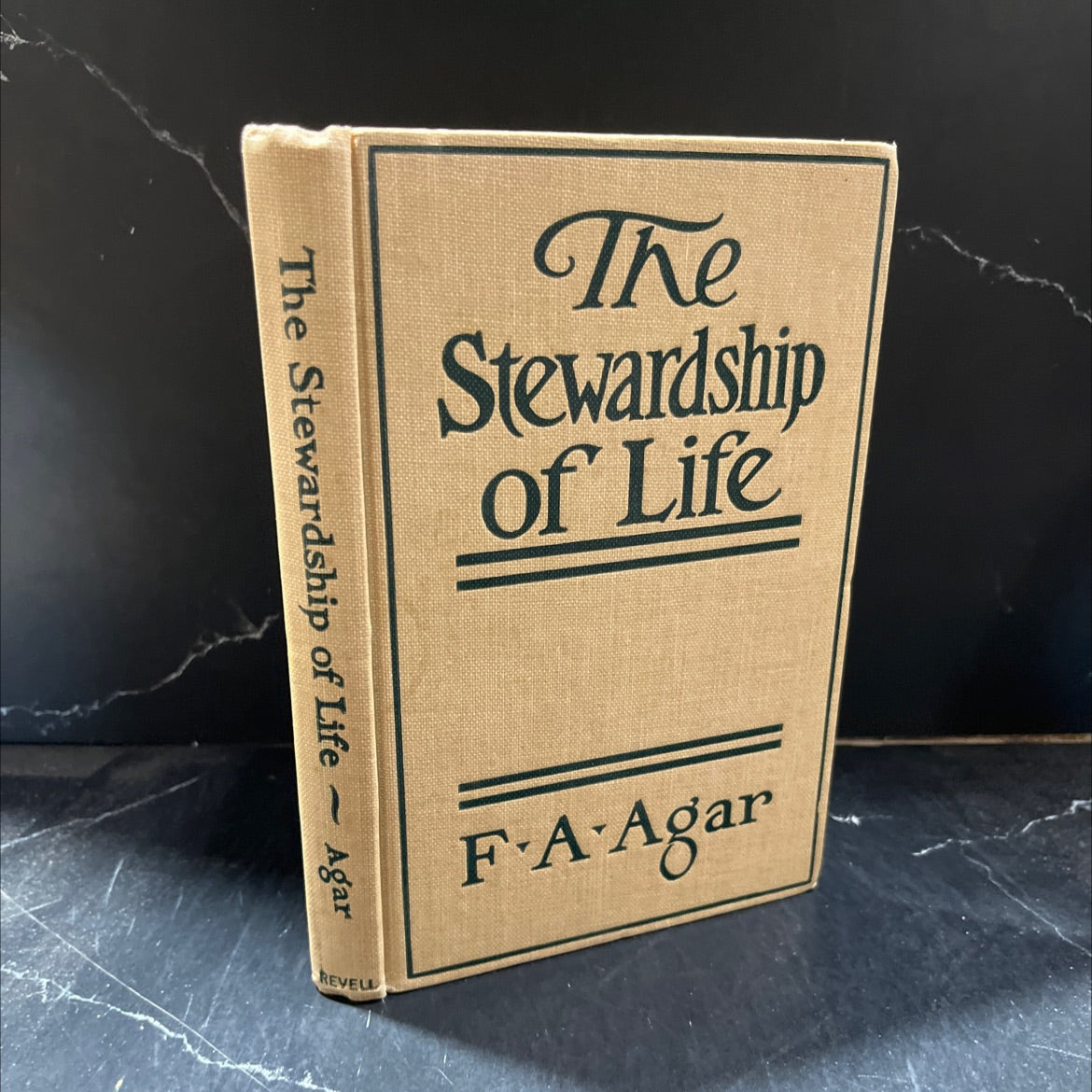 the stewardship of life book, by frederick a. agar, 1924 Hardcover image 1