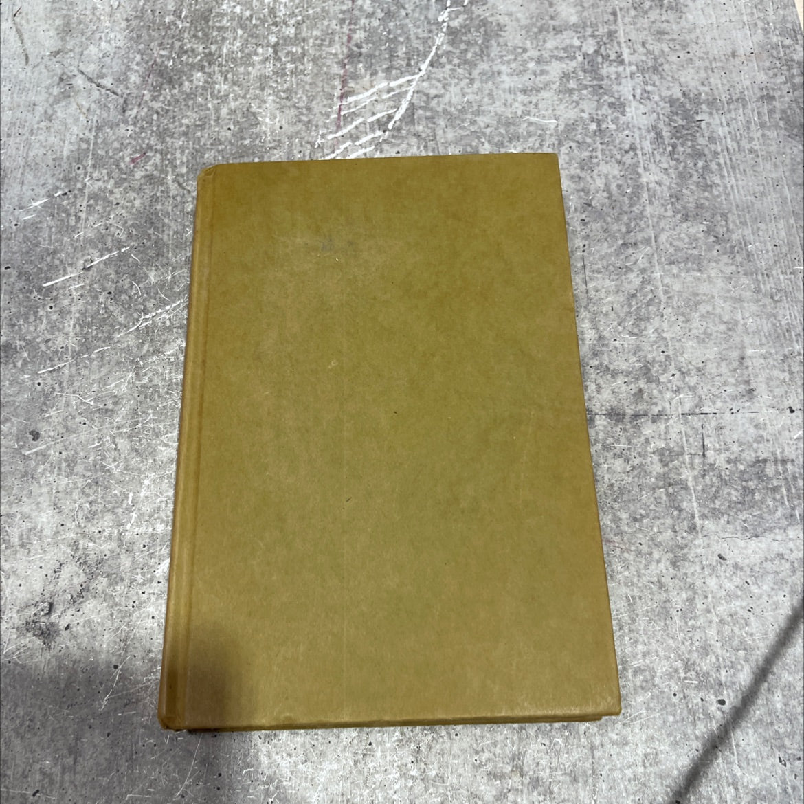 the stone bull book, by Phyllis A. Whitney, 1977 Hardcover image 1