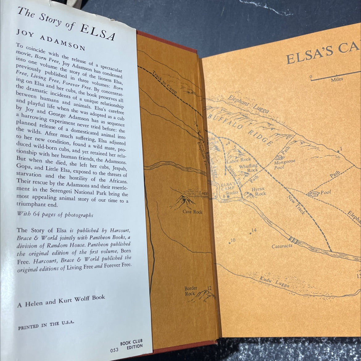 the story of elsa book, by joy adamson, 1966 Hardcover image 4