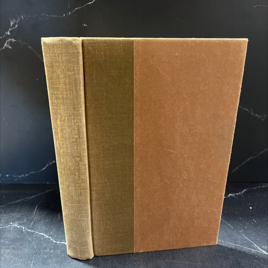 the terrible teague bunch book, by Gary Jennings, 1975 Hardcover image 1