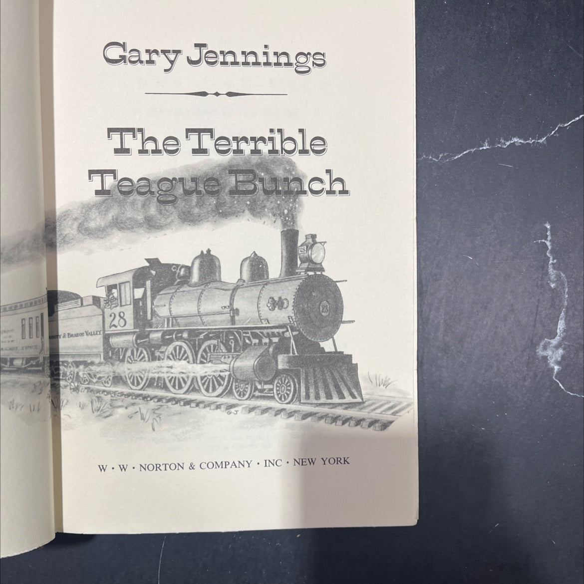 the terrible teague bunch book, by Gary Jennings, 1975 Hardcover image 2