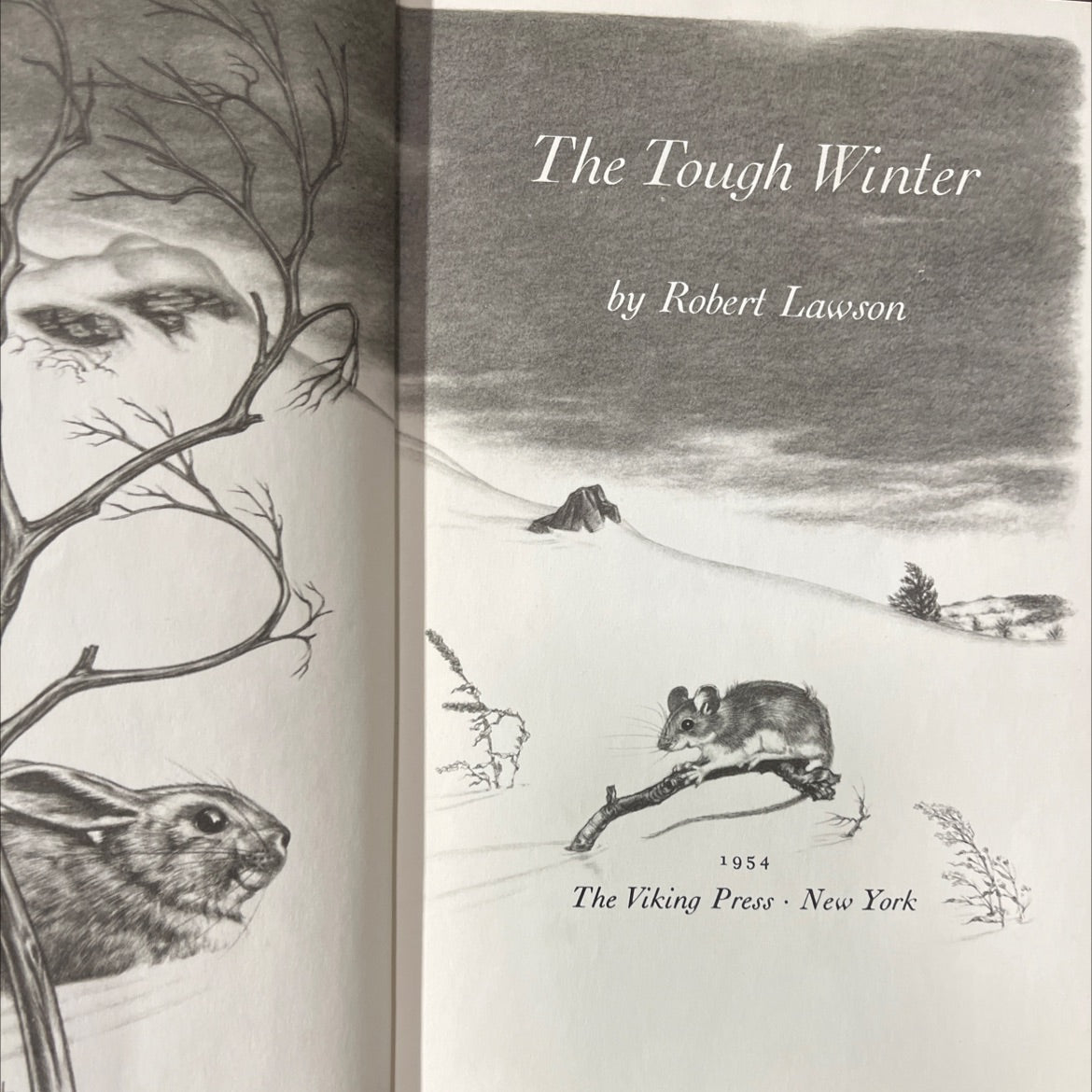 the tough winter book, by robert lawson, 1954 Hardcover image 2