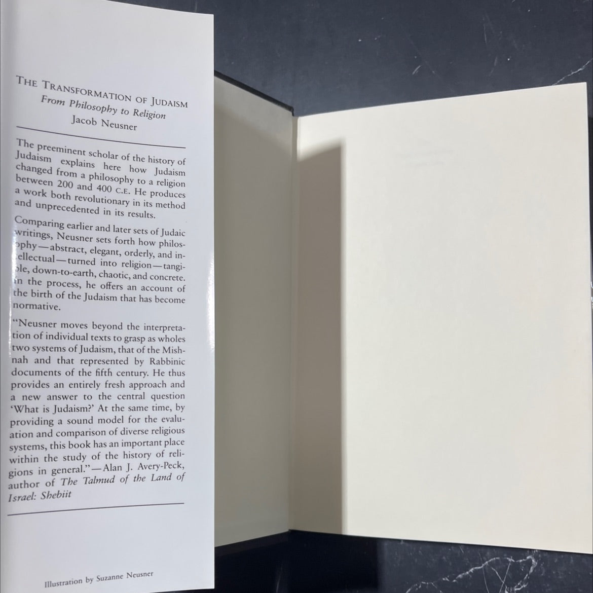 the transformation of judaism from philosophy to religion book, by Jacob Neusner, 1992 Hardcover image 4