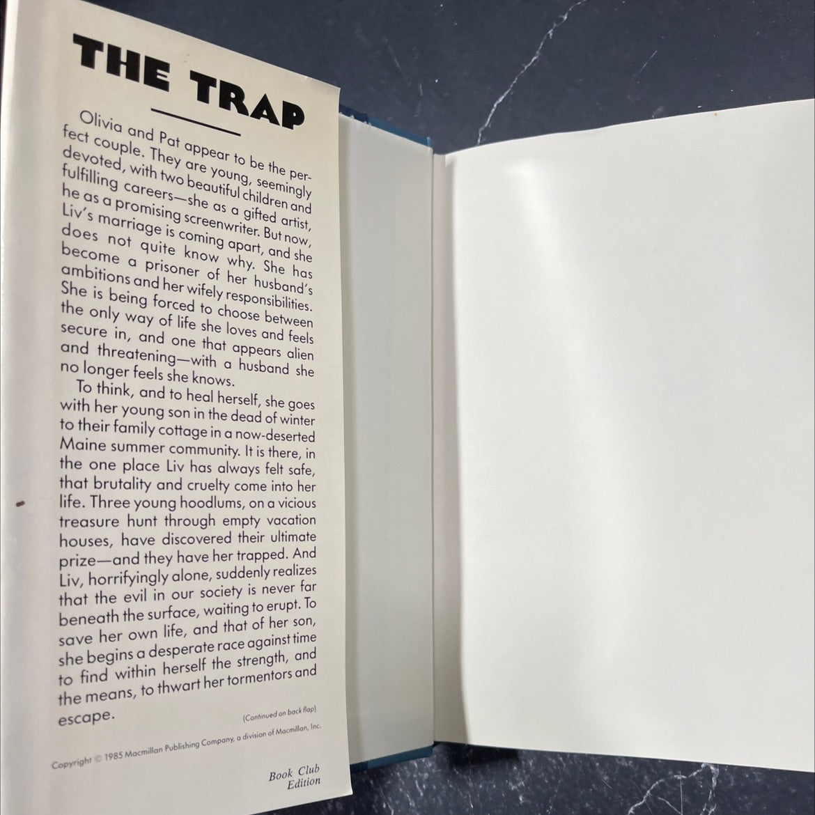 the trap book, by tabitha king, 1985 Hardcover image 4