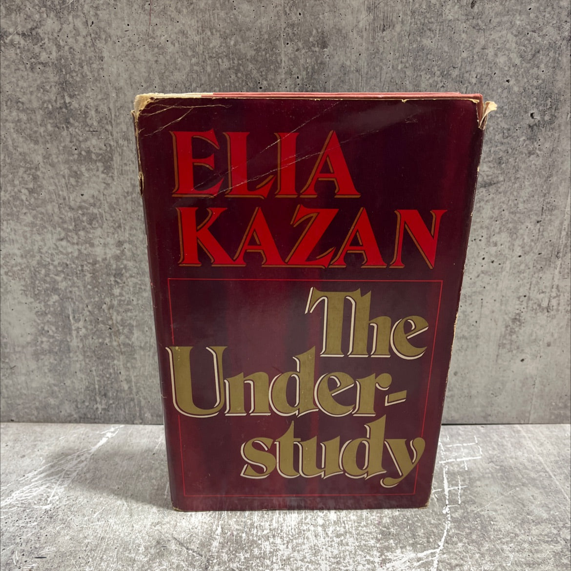 the under-study book, by Elia Kazan, 1975 Hardcover image 1
