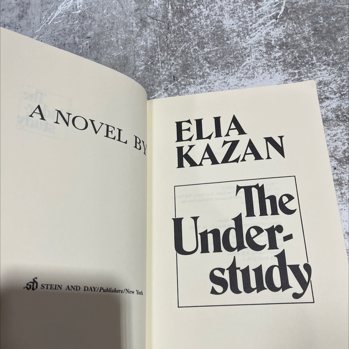 the under-study book, by Elia Kazan, 1975 Hardcover image 2