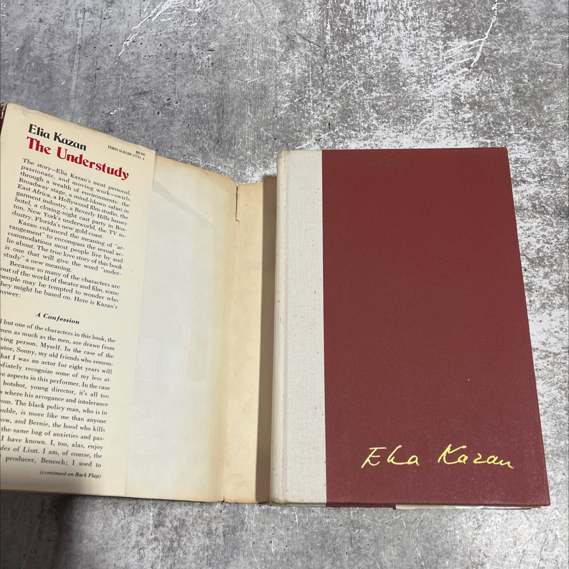 the under-study book, by Elia Kazan, 1975 Hardcover image 4