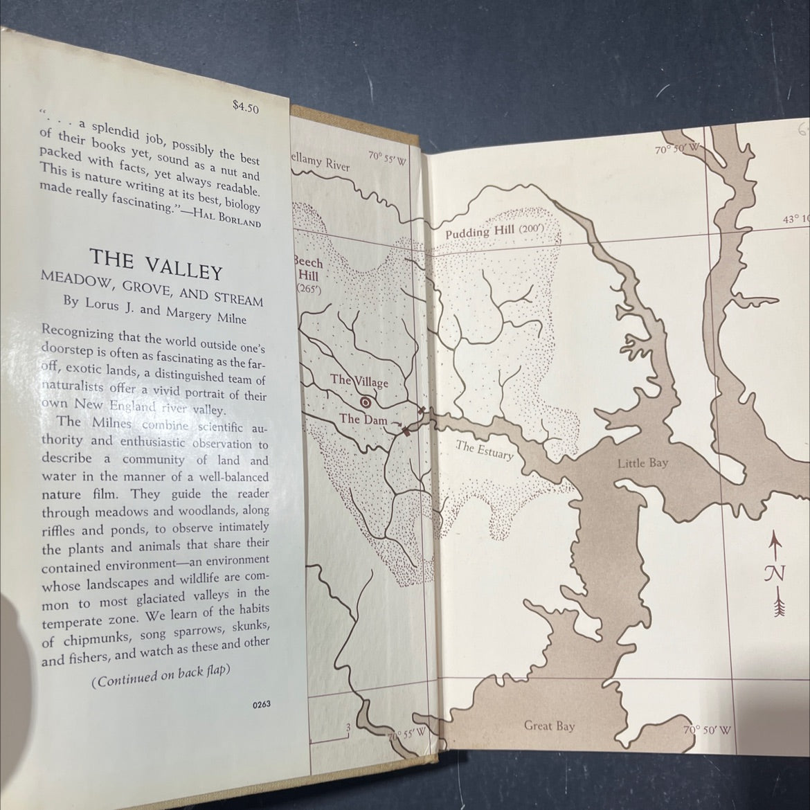 the valley: meadow, grove, and stream book, by Lorus J. Milne and Margery Milne, 1963 Hardcover image 4