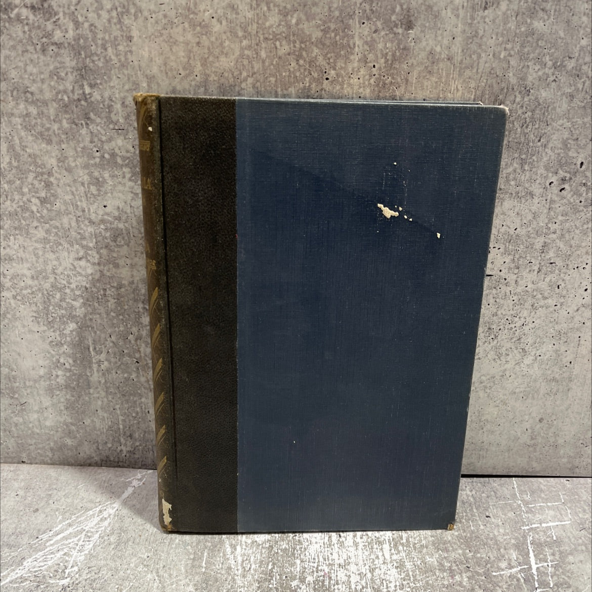 the victrola book of the opera book, by unknown, 1929 Hardcover image 1