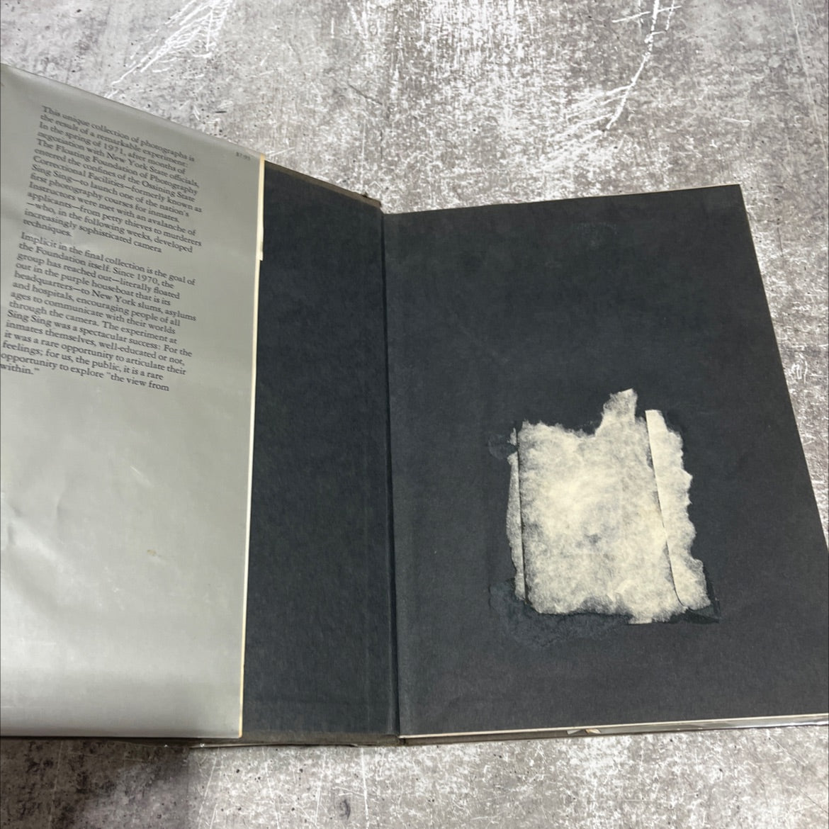 the view from within book, by Steven Schoen, John Conroy, 1972 Hardcover image 4