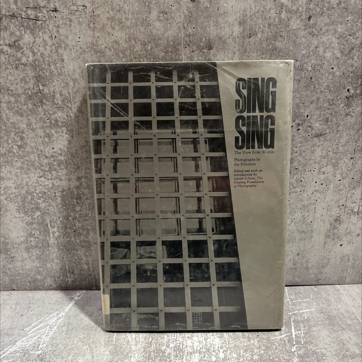 the view from within book, by Steven Schoen, John Conroy, 1972 Hardcover image 1