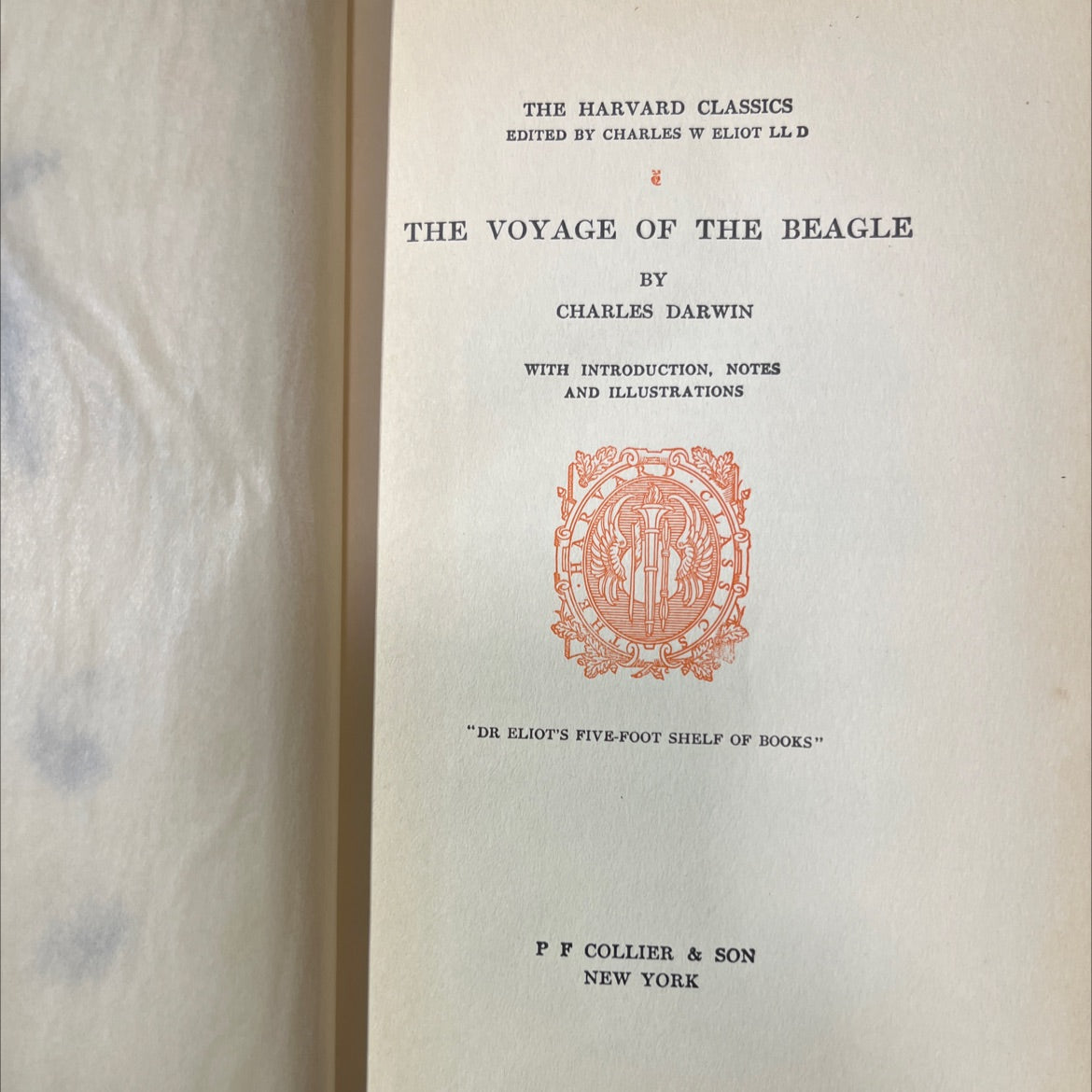 the voyage of the beagle book, by charles darwin, 1909 Hardcover image 2