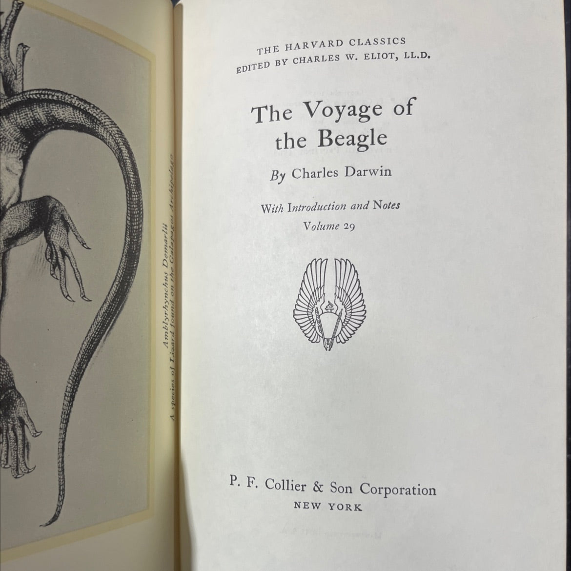the voyage of the beagle book, by charles darwin, 1937 Hardcover image 2