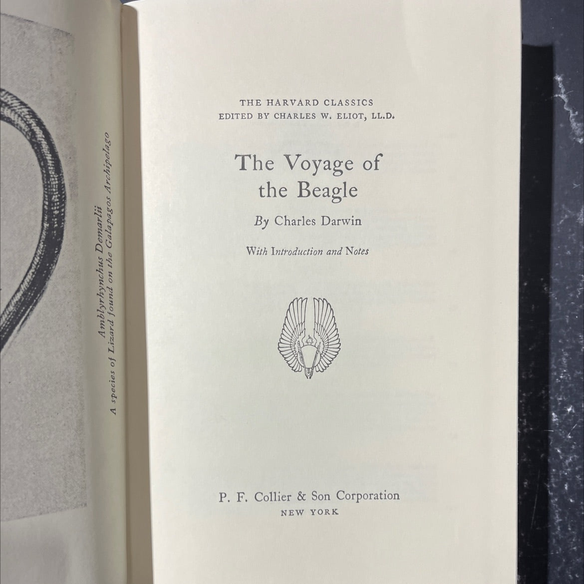 the voyage of the beagle book, by charles darwin, 1937 Hardcover image 2