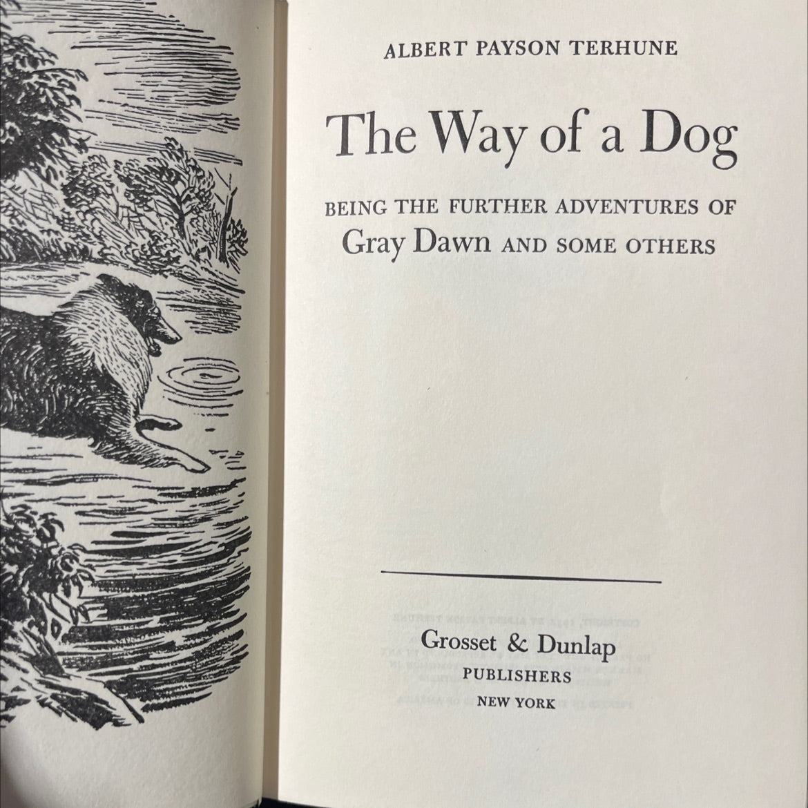 the way of a dog being the further adventures of gray dawn and some others book, by albert payson terhune, 1932 image 2