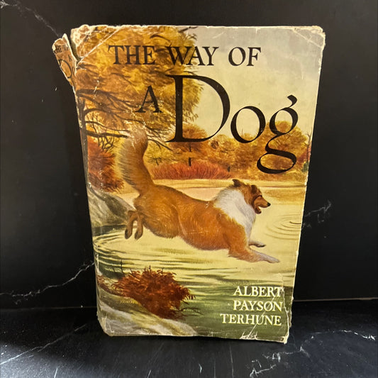 the way of a dog being the further adventures of gray dawn and some others book, by albert payson terhune, 1932 image 1
