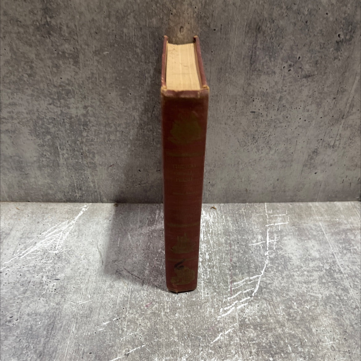 the way of all flesh book, by samuel butler, 1902 Hardcover image 4