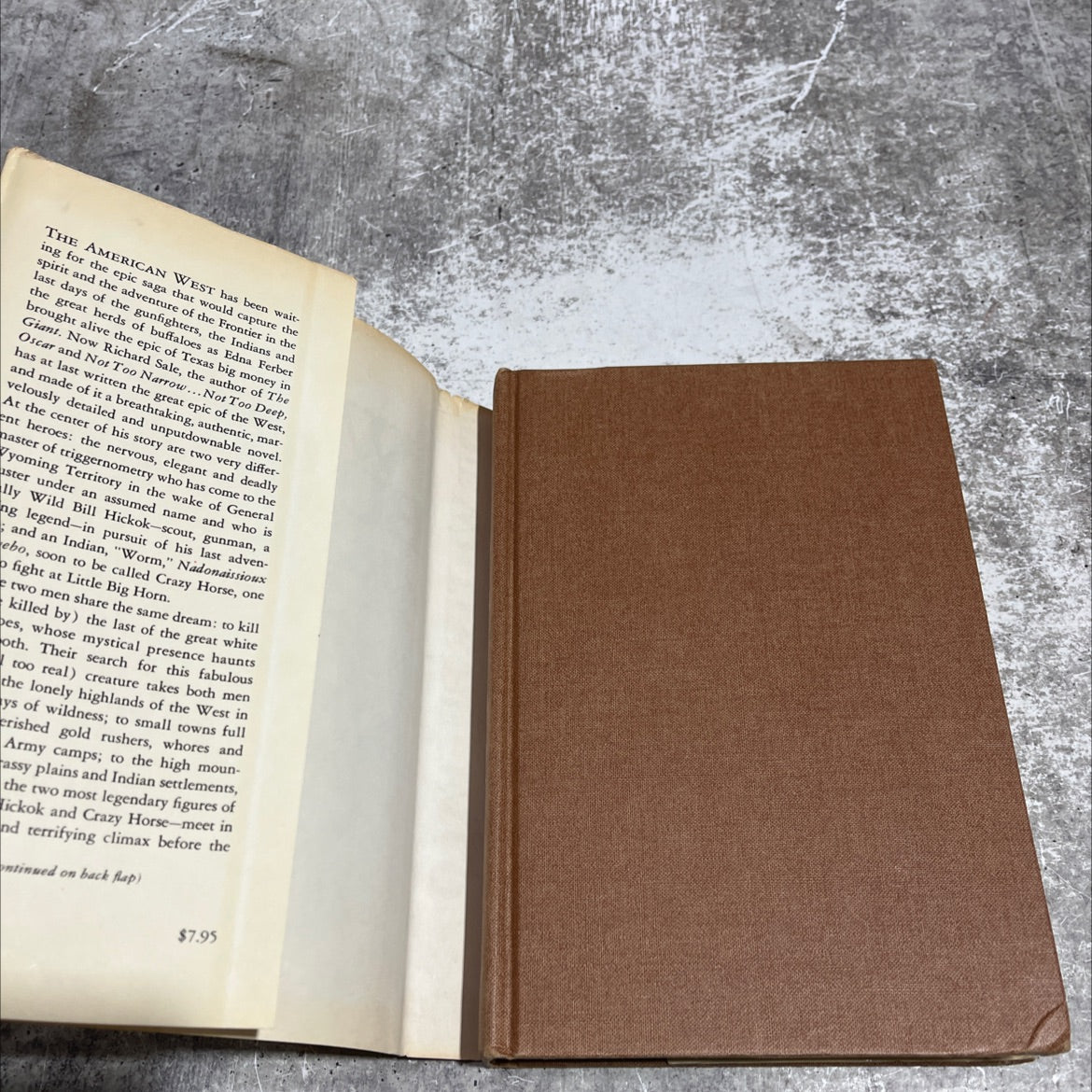 the white buffalo book, by richard sale, 1975 Hardcover image 4