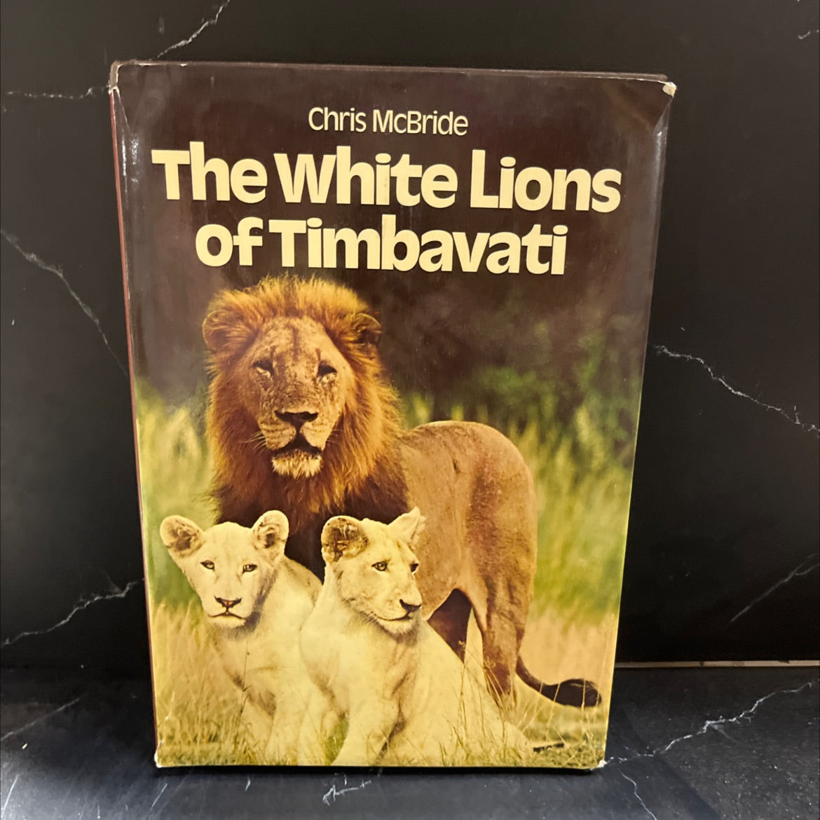 the white lions of timbavati book, by Chris McBride, 1977 Hardcover image 1
