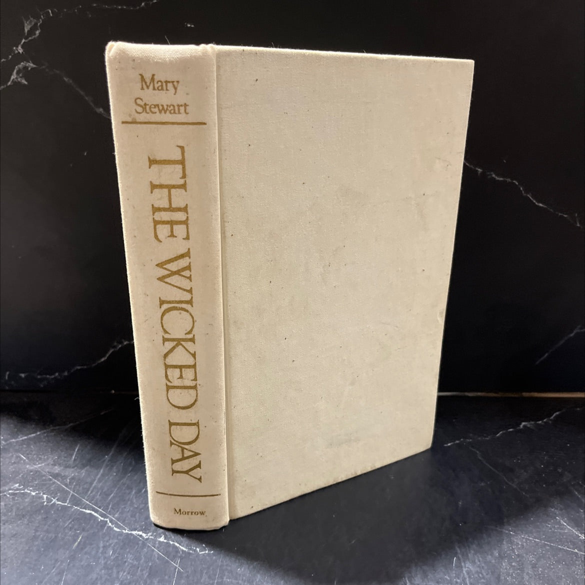 the wicked day book, by Mary Stewart, 1983 Hardcover image 1